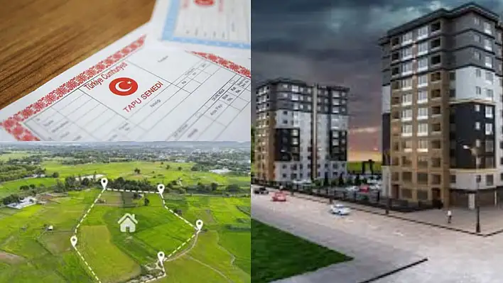 Vergi Kaybı